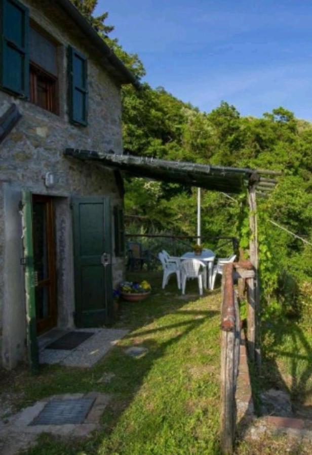 Villa Casa Serena à Petrognano  Extérieur photo
