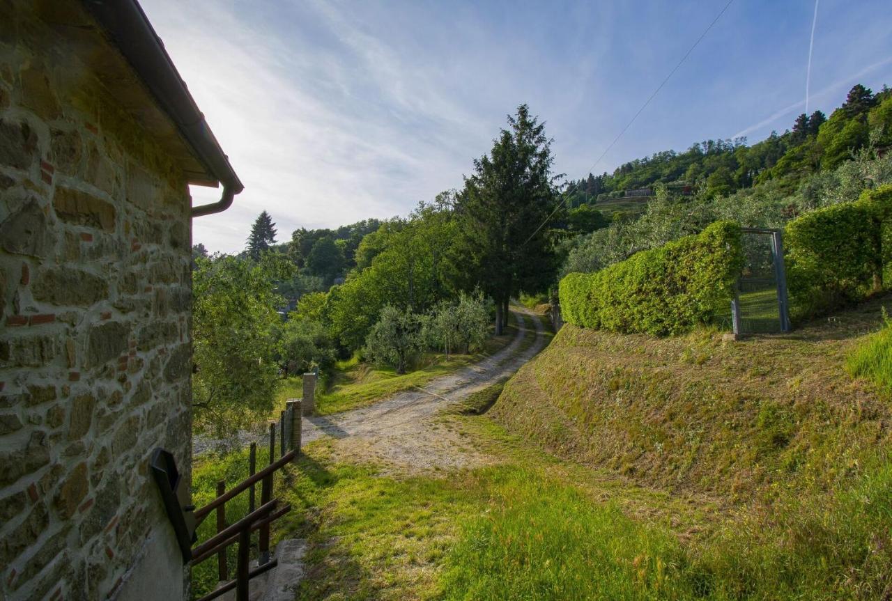 Villa Casa Serena à Petrognano  Extérieur photo