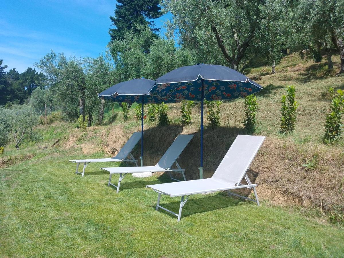 Villa Casa Serena à Petrognano  Extérieur photo